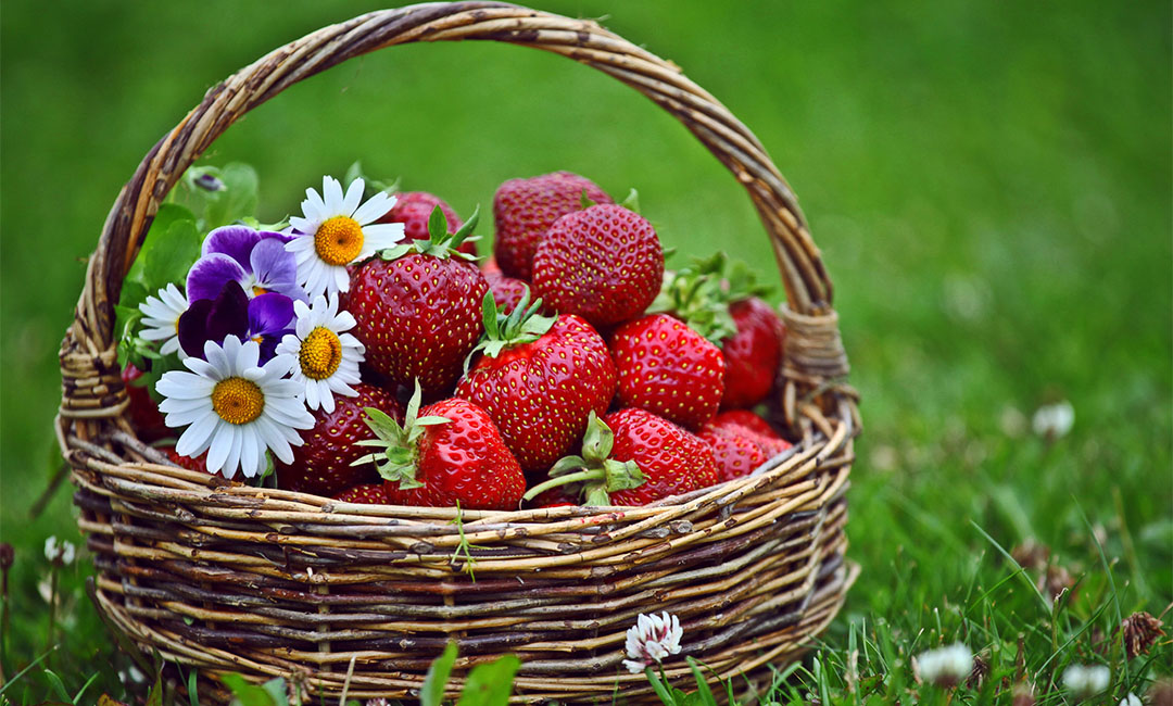 佛山点呀点水果电商APP开发案例